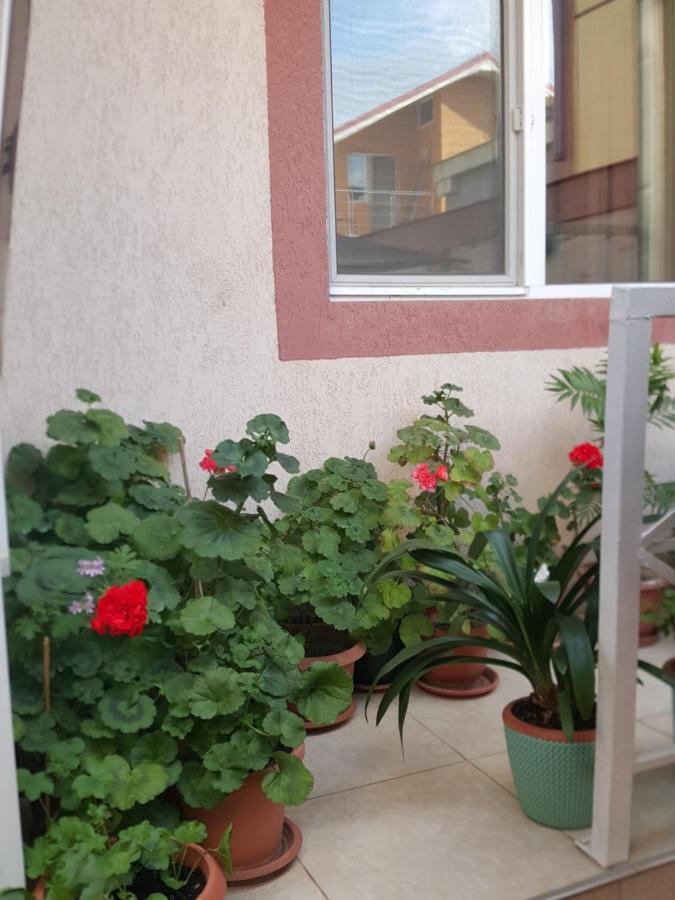 Vila Liz Eforie Nord Hotel Exterior foto